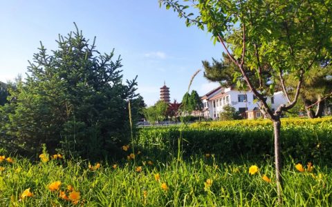 法會(huì)丨秦皇島法云寺三時(shí)系念法會(huì)通知